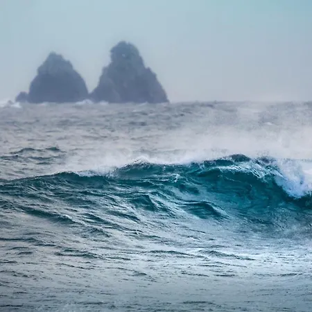 Le Ponton Et Son * 滨海圣芒德里耶